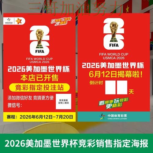 世界杯投注深度解析实录：怎么选真实情况曝光（世界杯直播）