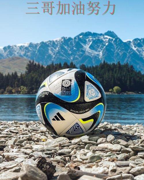 世界杯投注平台可靠吗？避坑指南带你了解（FIFA World Cup 2026）